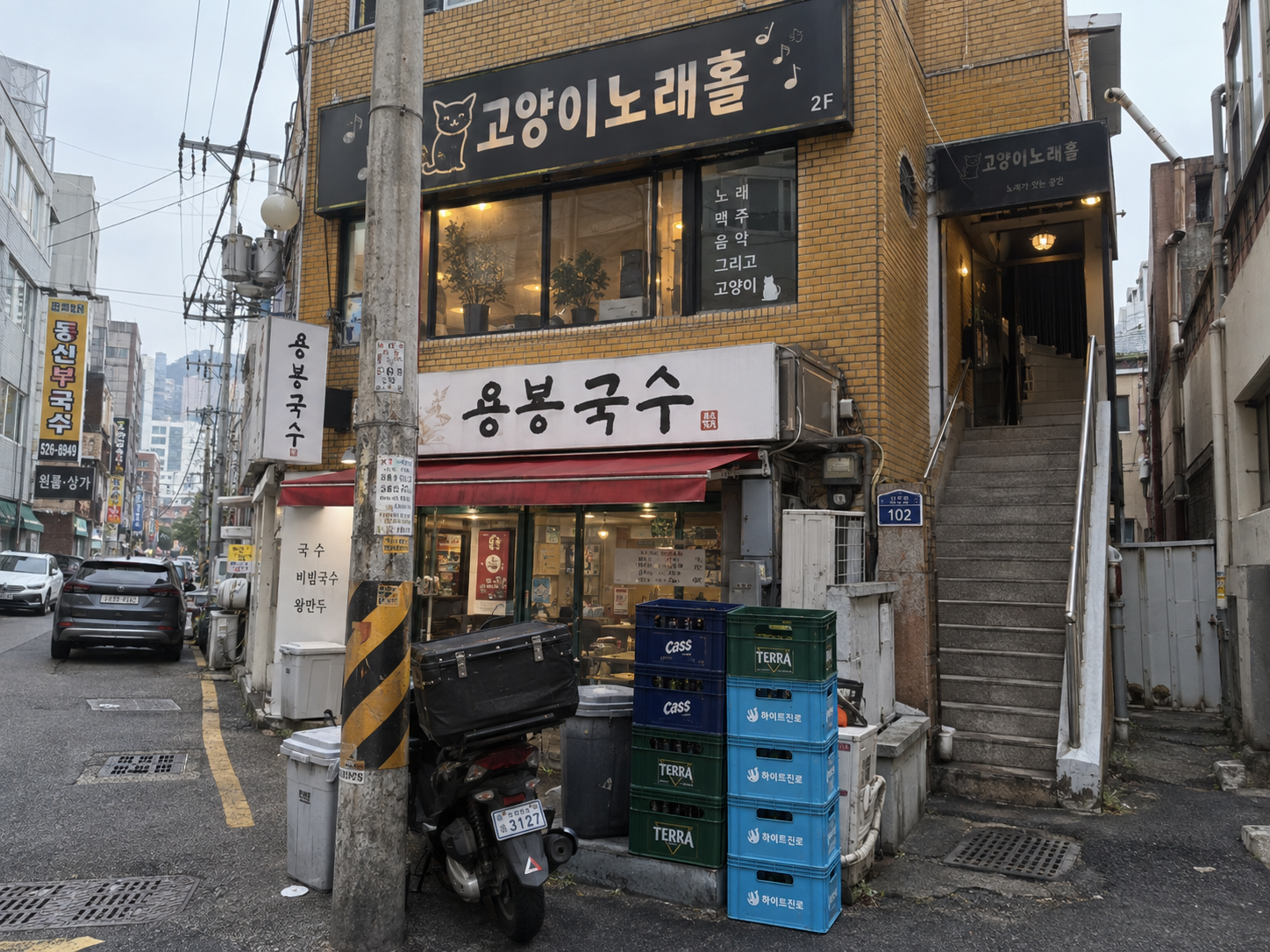 고양이노래홀 썸네일